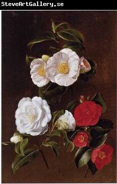 unknow artist Floral, beautiful classical still life of flowers 028